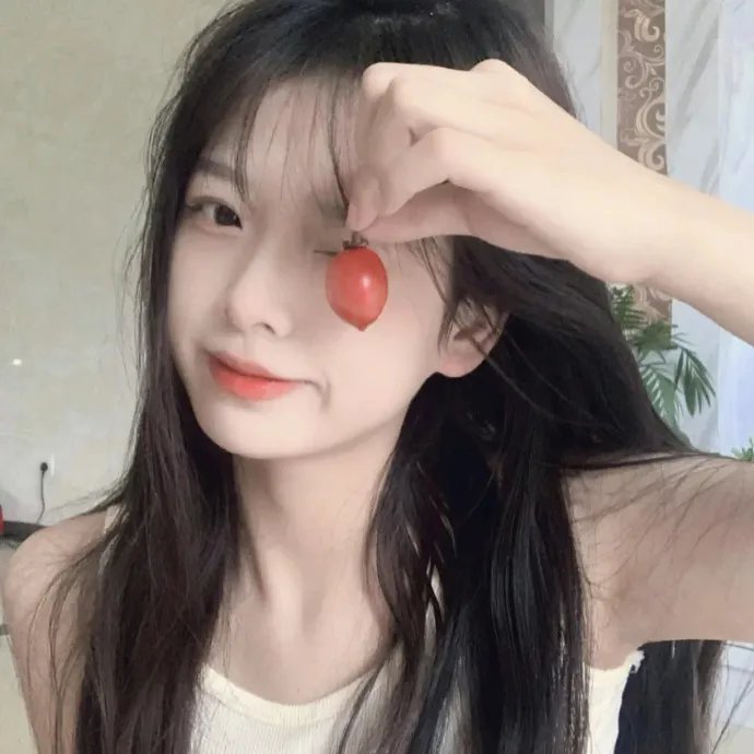 镜中镜封面